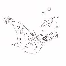 Leopard Seal Leopard Seal coloring pages