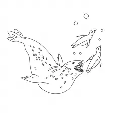 Leopard Seal coloring pages