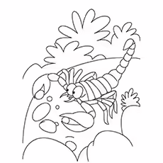 Scorpion Coloring Sheets - Lesser Brown Scorpions Lesser Brown Scorpions