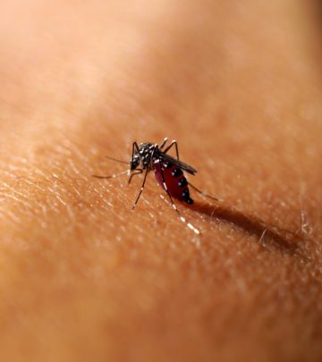 Malaria In Toddlers - Causes, Symptoms & Treatments You Should Be Aware Of