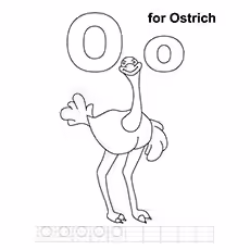 Ostrich Coloring Pages - O For Ostrich O For Ostrich