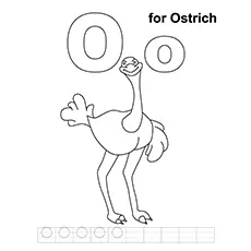 O For Ostrich