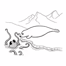 Seal Coloring Pages - Octopus And Seal Octopus And Seal