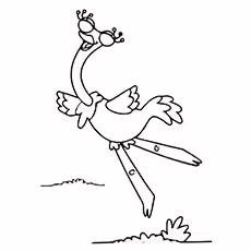 Ostrich Coloring Pages - Olive The Ostrich Olive The Ostrich