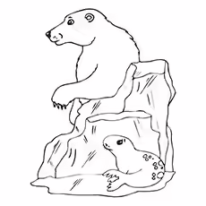 Seal Coloring Pages - Polar Bear And Seal Polar Bear And Seal
