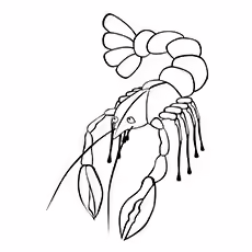 Lobster Coloring Pages - Scampi Scampi