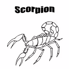 Scorpion Coloring Sheets - Scorpion Info Scorpion Info