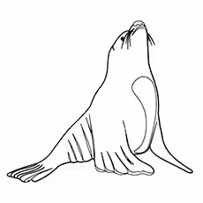 Seal Coloring Pages - Sea Lion Sea Lion