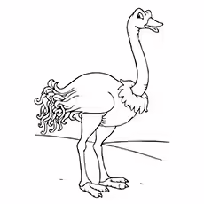 Ostrich Coloring Pages - Smiling Ostrich Smiling Ostrich