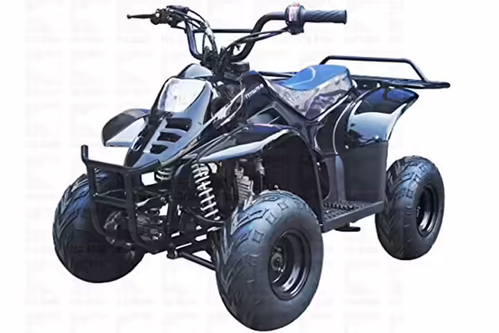 Tao Tao 110cc Gas ATV for Kids Tao Tao 110cc Gas ATV for Kids