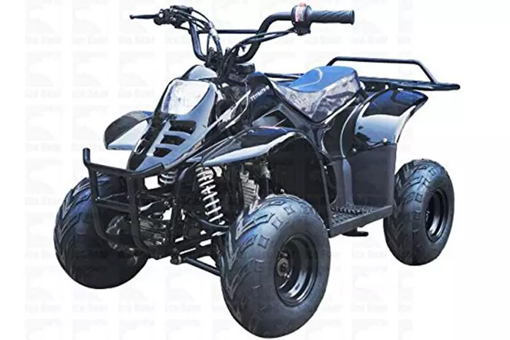 Tao Tao 110cc Gas ATV for Kids