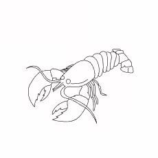 The American Lobster The American Lobster