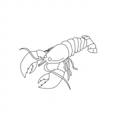 The American Lobster