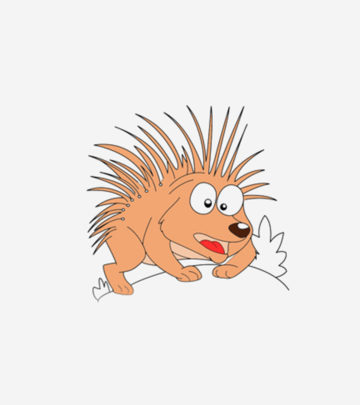 Porcupine Coloring Pages For Toddlers