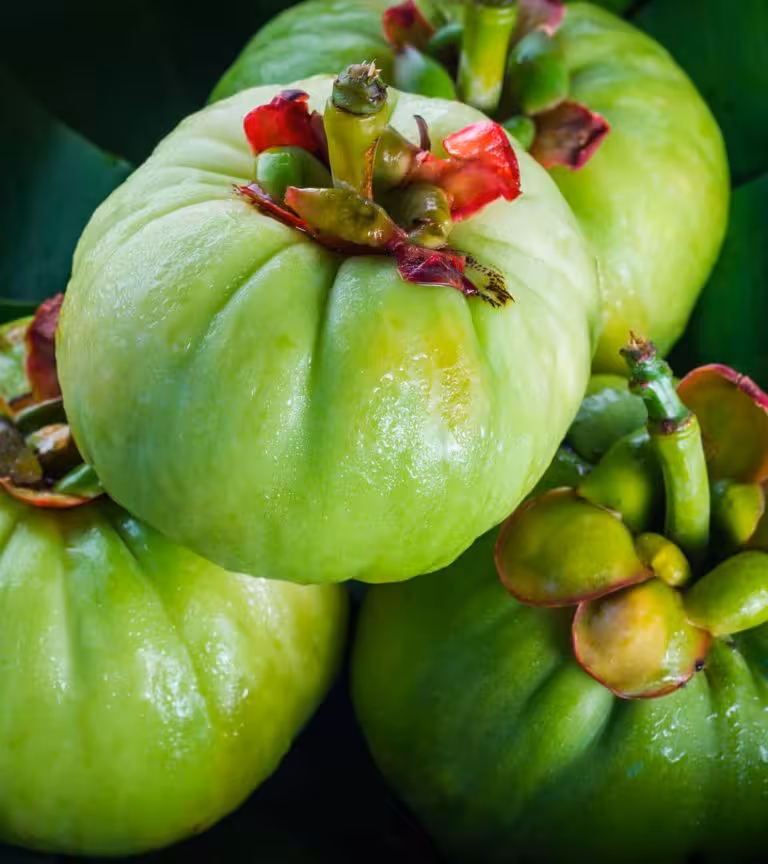 6 Incredible Health Benefits Of Garcinia Cambogia For Kids