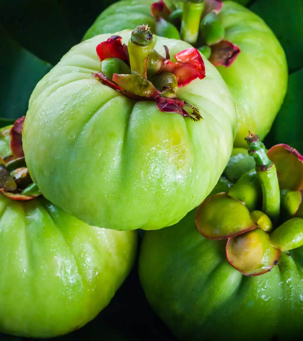 6 Incredible Health Benefits Of Garcinia Cambogia For Kids_image