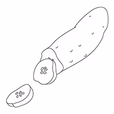 Cucumber Coloring Page - Armenian Cucumber