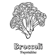 Broccoli Coloring Page - Broccoli Raab