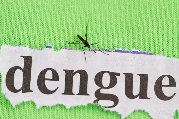 Dengue In Toddlers Dengue In Toddlers