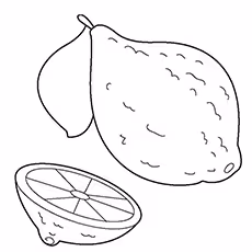 Lemon Coloring Page - Dorshapo Lemon Lemon Coloring Page - Dorshapo Lemon