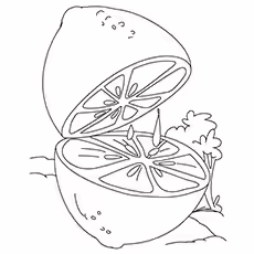 Lemon Coloring Page - Eureka Lemon Lemon Coloring Page - Eureka Lemon