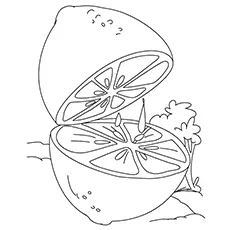 Lemon Coloring Page - Eureka Lemon