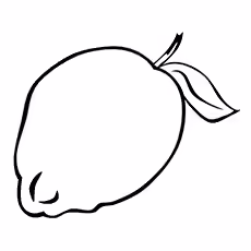 Lemon Coloring Page - Fino Citron Lemon Coloring Page - Fino Citron
