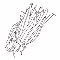 Green Beans Image of Green Beans to Color