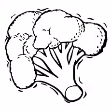 Broccoli Coloring Page - Heading Broccoli Broccoli Coloring Page - Heading Broccoli