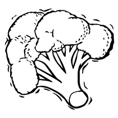 Broccoli Coloring Page - Heading Broccoli