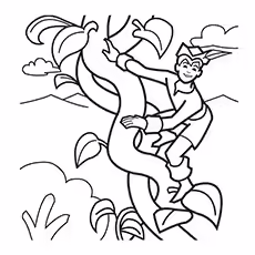 Jack Climbing The Beanstalk Jack Climbing The Beanstalk Picture to Color