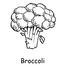 Broccoli Coloring Page - Large Headed Broccoli