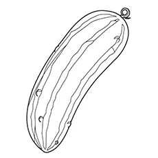 Cucumber Coloring Page - Persian Cucumber