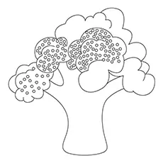 Broccoli Coloring Page - Sprouting Broccoli