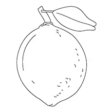 Lemon Coloring Page - Sweet Lemon