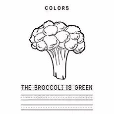 Broccoli Coloring Page - The Broccoli Is Green Broccoli Coloring Page - The Broccoli Is Green