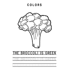 Broccoli Coloring Page - The Broccoli Is Green