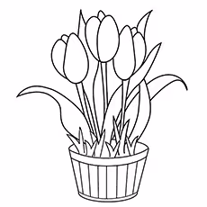 Vase Full Of Tulips Coloring Page