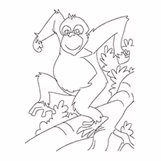 Orangutan Coloring Page - An Orangutan On A Tree