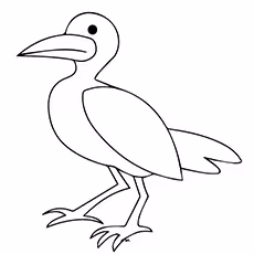 Seagull Coloring Page - Baby Seagull Seagull Coloring Page - Baby Seagull