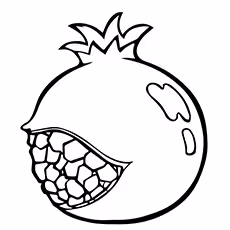 Pomegranate Coloring Page - Balegal Pomegranate Coloring Page - Balegal