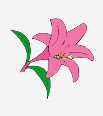 10 Beautiful Lily Coloring Pages For Your Little Girl_image