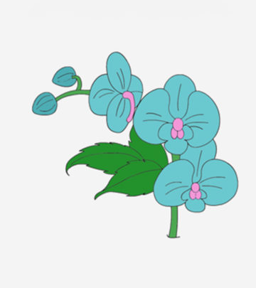 10 Beautiful Orchid Coloring Pages For Your Toddler_image