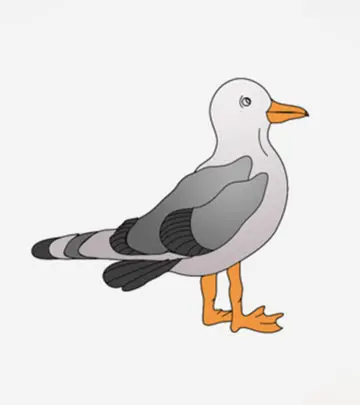 10 Beautiful Seagull Coloring Pages For Your Toddler_image