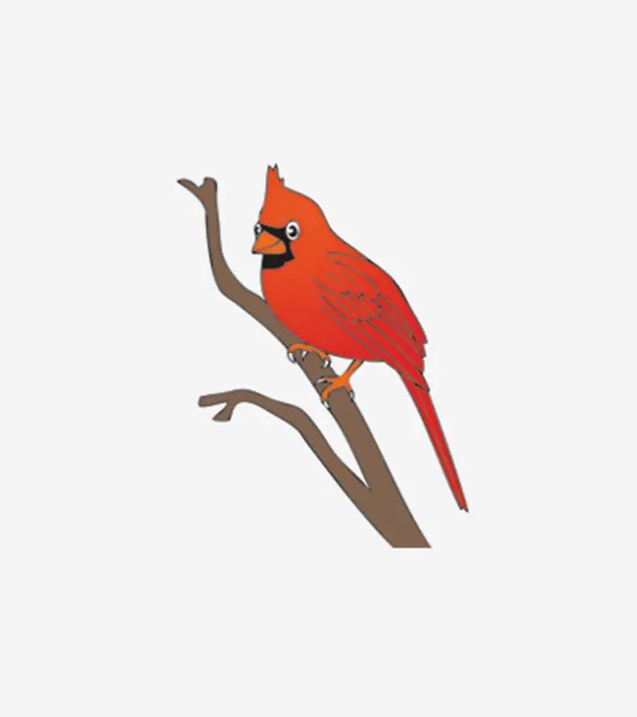 Best Cardinal Coloring Pages For Your Little One