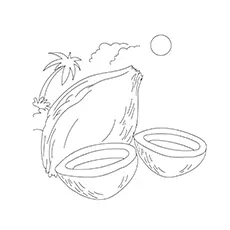 Coconut Coloring Images