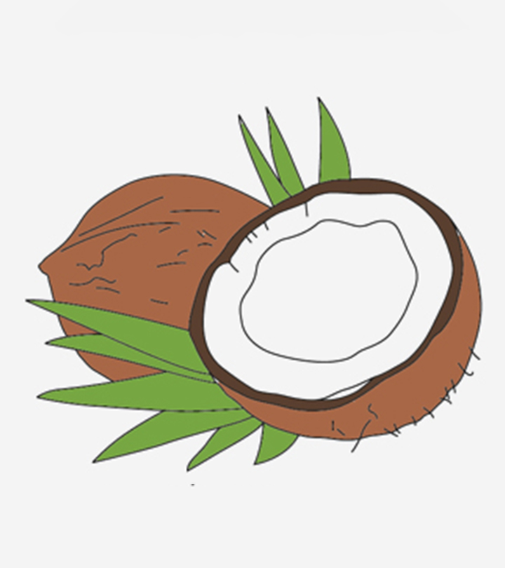 Coconut Coloring Pages For Your Toddler