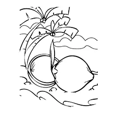 Coconut Coloring Page - Coconut Trees