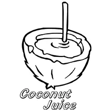 Coconut Coloring Page - Coconut Water