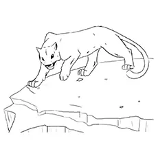 Cougar Coloring Page - Cougar On A Cliff